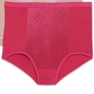 Blissful Benefits by Warner's Women's Tummy Smoothing Brief Panty